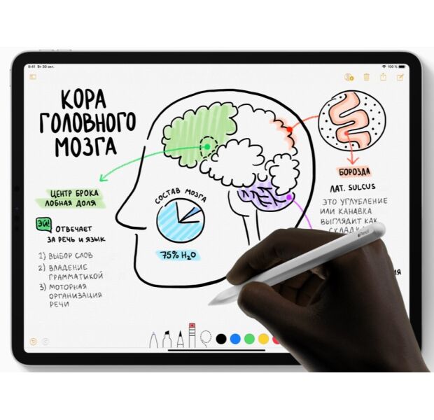 iPad Pro 12.9' Wi-Fi 1TB, SG 2018 (MTFR2) б/в